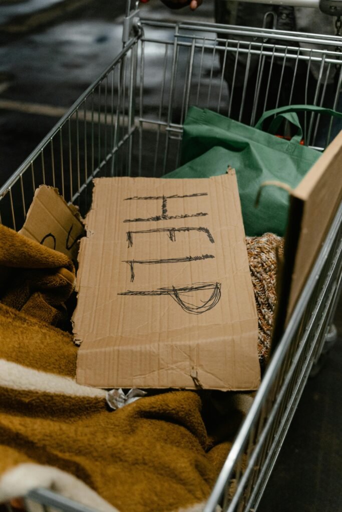 Cardboard sign with 'Help' in shopping cart, highlighting poverty issue.